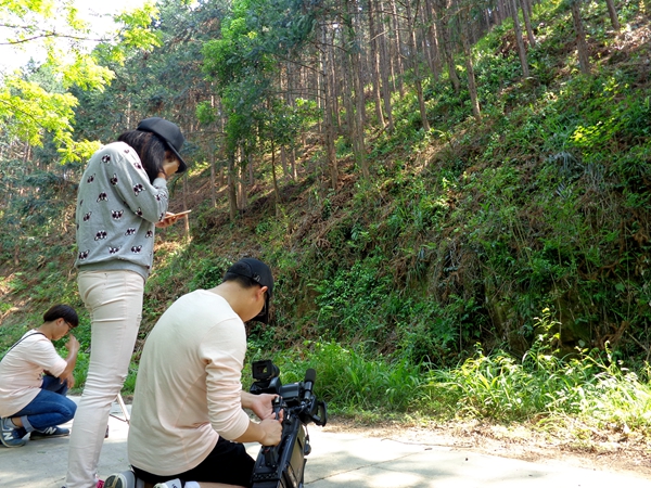 дɭֳ”רƬ߽ŷؽɽֳռóҶֱɭַ˹Ӫֵ̬еɫ㣬ΪӰزġ